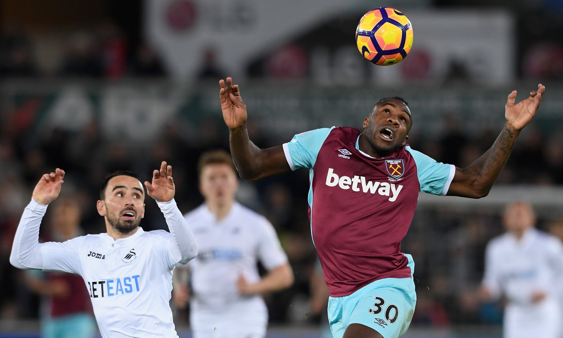 他的这一成 他的这一成