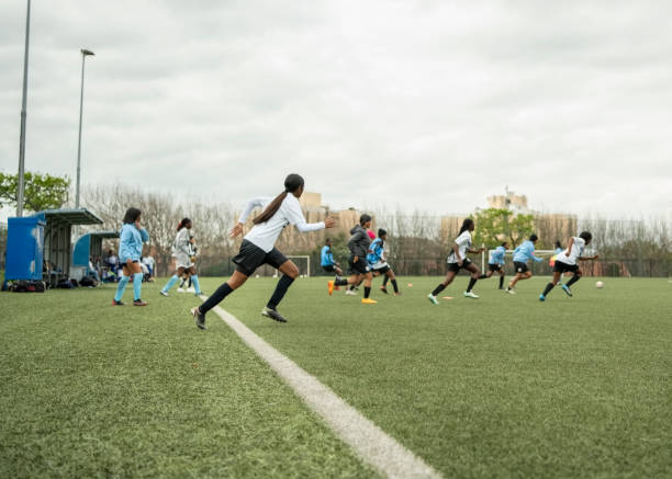 治对手的强 治对手的强